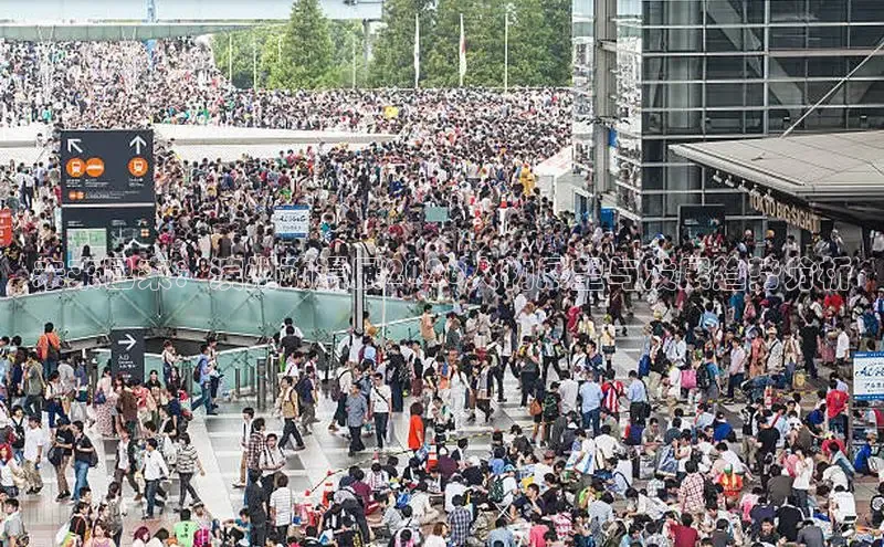 顺盈娱乐登录地址